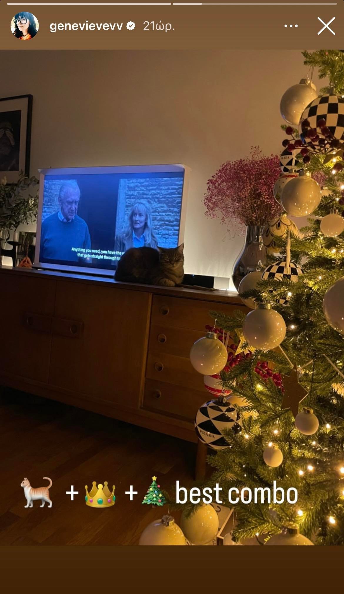 Ζενεβιέβ Μαζαρί: Το χριστουγεννιάτικο δέντρο που κοσμεί το σαλόνι της είναι minimal και έχει ιδιαίτερα στολίδια