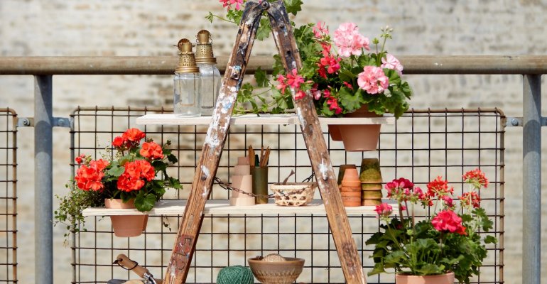 Η απόλυτη DIY ιδέα για να μετατρέψεις μία παλιά σκάλα σε λουλουδένια ραφιέρα
