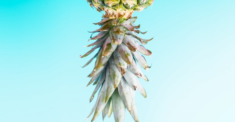 Ανάποδος ανανάς: Το πονηρό μήνυμα πίσω από το τροπικό φρούτο - Τι πρέπει να ξέρετε αν το συναντήσετε