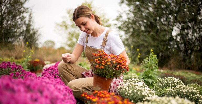 Τα 5 χρωματιστά λουλούδια που επιβιώνουν φθινόπωρο και χειμώνα για να ομορφύνετε τον κήπο και το μπαλκόνι σας