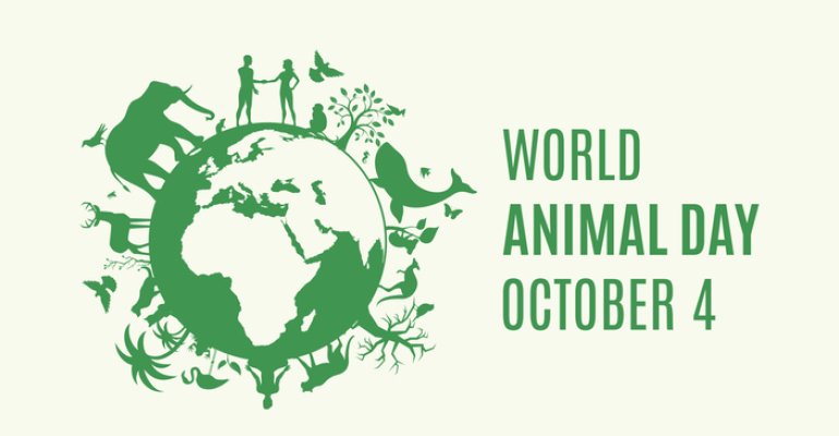 Παγκόσμια Ημέρα των Ζώων: Όσα πρέπει να ξέρεις για τα δικαιώματά τους!