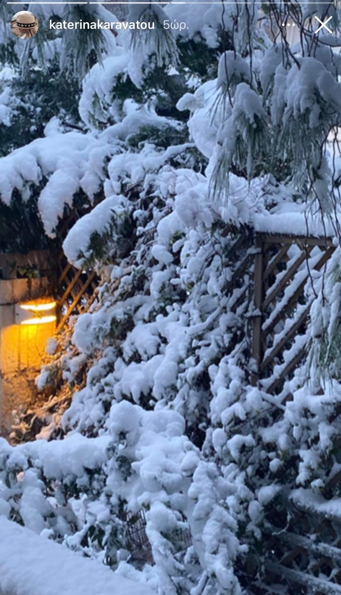 Κατερίνα Καραβάτου: Μας δείχνει τη χιονισμένη αυλή του σπιτιού της- Τα φυτά και η μεγάλη κούνια εντυπωσιάζουν