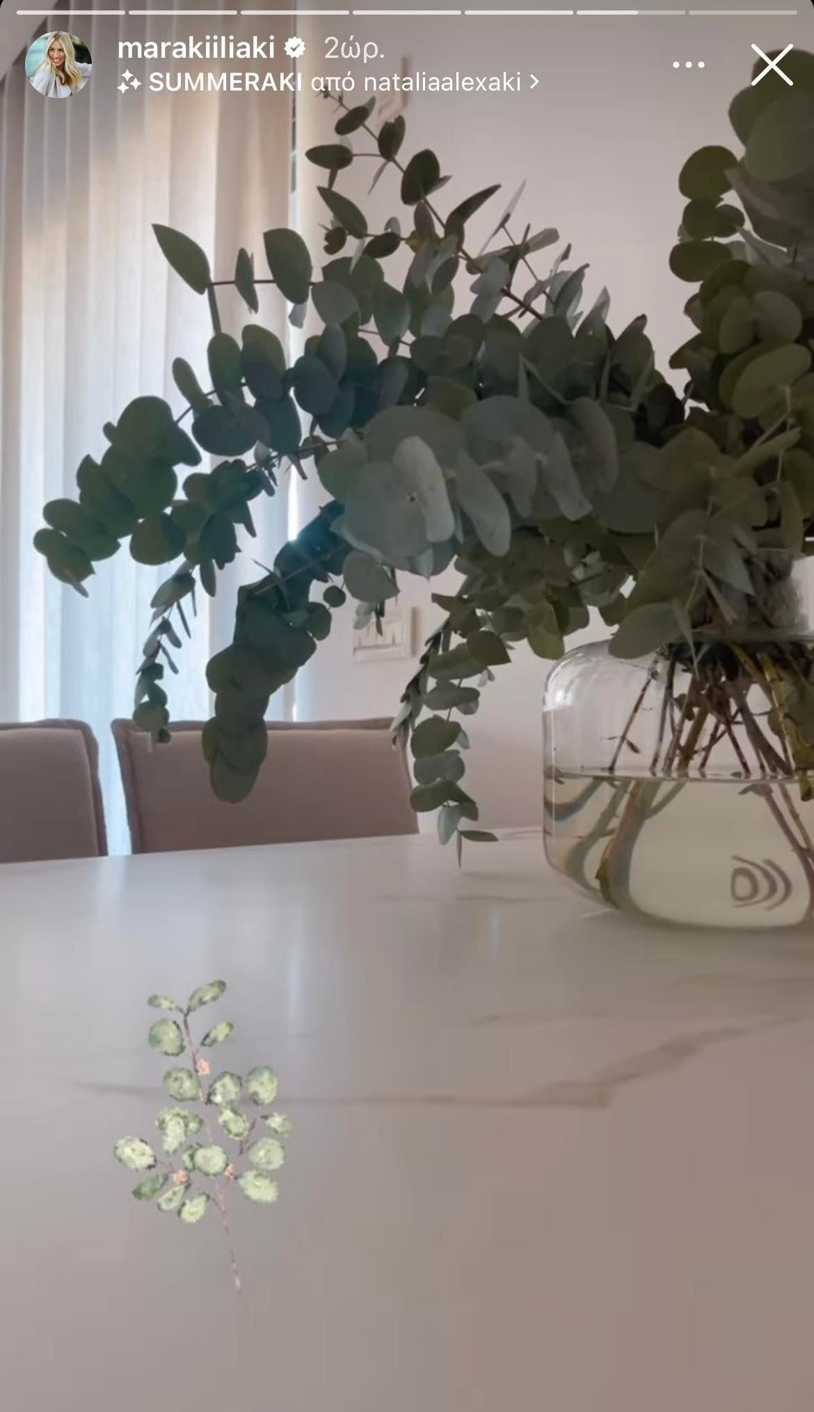 Μαρία Ηλιάκη: Ο τρόπος που διακόσμησε τη μαρμάρινη τραπεζαρία της με τα υπέροχα φυτά, εντυπωσιάζει!